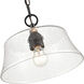 Caily 1 Light 11.75 inch Matte Black Pendant Ceiling Light